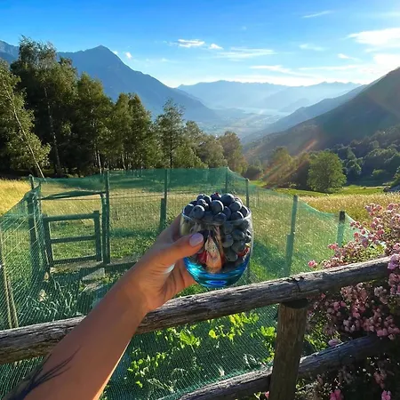 View Alpesi faház *