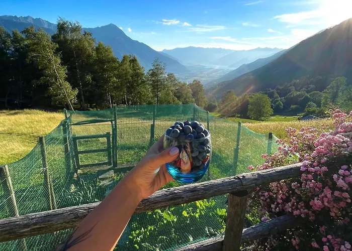View Domek alpejski *